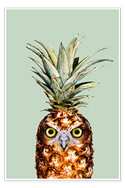 Plakat  Pineapple Owl - Jonas Loose