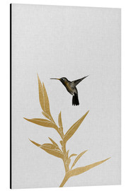 Print på aluminium  Kolibri og blomst II - Orara Studio