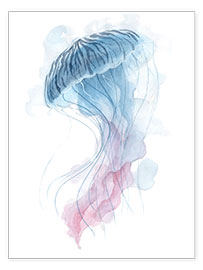 Plakat  Watercolor Jellyfish - Déborah Maradan