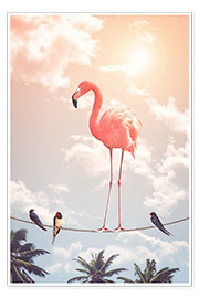 Plakat  Flamingo and Friends - Jonas Loose