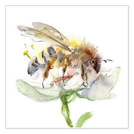 Plakat  Honey bee - Verbrugge Watercolor