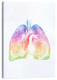 Lærredsbillede  Regnbue lunger - Mod Pop Deco