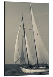 Print på aluminium  Sailboat in the wind at Cape Ann - Walter Bibikow