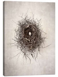 Lærredsbillede  Bird's nest I - Debra Van Swearingen