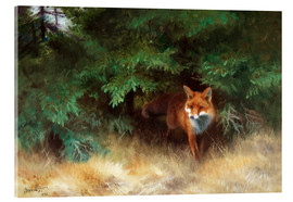 Akrylbillede  Fox Hiding Under Spruce - Bruno Andreas Liljefors