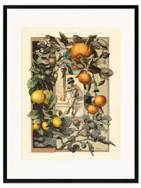 Kunsttryk i ramme  Citroner og appelsiner - Anton Seder