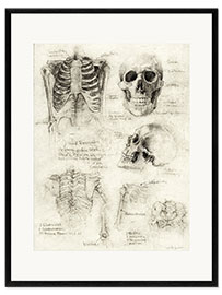 Kunsttryk i ramme  Skeleton - Mike Koubou