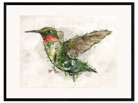 Kunsttryk i ramme  Hummingbird - Barrett Biggers